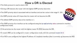 181 Designated and Backup Designated Routers