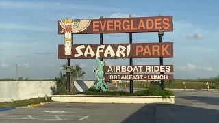 Everglades un gioiello naturale della Florida