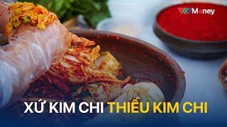 Xứ kim chi thiếu kim chi  | VTVMoney