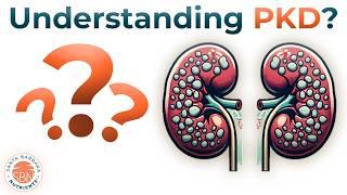 Everything you need to know about PKD (Polycystic Kidney Disease)