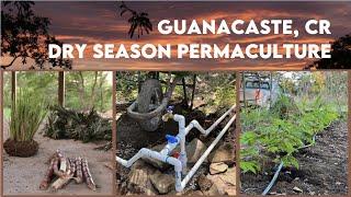 Year 2 Dry Season Prep - Off-Grid Permaculture Farm in Guanacaste, Costa Rica