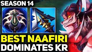 RANK 1 BEST NAAFIRI DOMINATES KOREA! | League of Legends