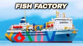 How Does The World's LARGEST Floating Fish Factory Work?