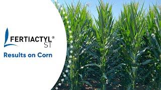 Trial Results | FERTIACTYL® ST on Corn - 2021