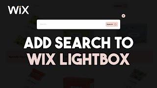 Add Search to Wix Lightbox & Display Result on Another Page | Wix Ideas