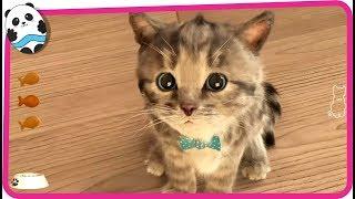 Play Fun Pet Care Kids Games - Little Kitten - My Favorite Cat Game for Children and Toddlers