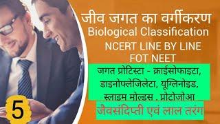 Classification of Kingdom Protista in Hindi | Chrysophytes, Dinoflagellate, Euglenoid, Slime moulds