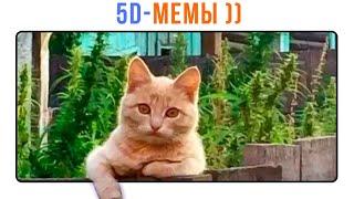 5D-мемы. РЖАКА! ))) Приколы | Мемозг 1375