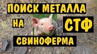 Поиск МЕталла на выбитой СТФ свиноферме