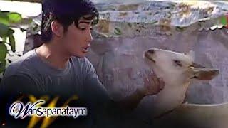 Wansapanataym: Kambing Alone feat. Danilo Barrios/ Camille Prats (Full Episode 172) | Jeepney TV