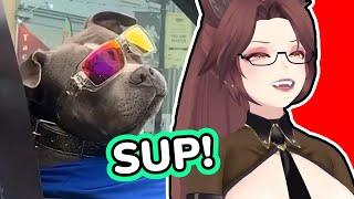 That's One Cool Pup | Saeko Reacts To Daily Dose Of Internet