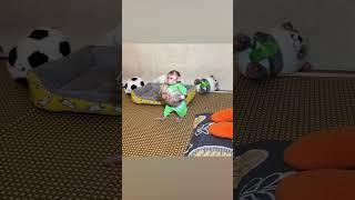 Monkey NANA picked up the little rabbit Lily and ran #shorts #babymonkey #smartmonkey #monkey