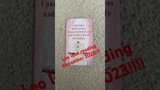 Leo love reading November 2023