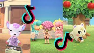 animal crossing tik tok memes i got in a message bottle