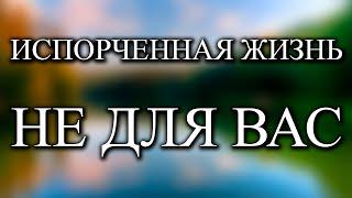 После этого видео вы не сможете жить плохо - Роберт Адамс