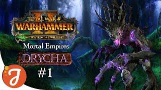 Briarmaven Of Woe | Drycha #01 | Total War: WARHAMMER II - Twisted & The Twilight