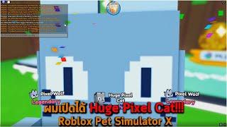 ผมเปิดได้ Huge Pixel Cat Roblox Pet Simulator X