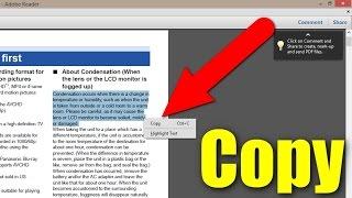 How to Copy Text from a PDF file