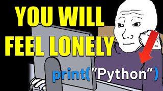 Programming is a lonely career path