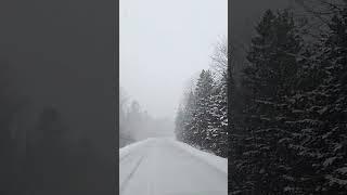 Blizzard conditions #snow #offgridhome #camping #offgridlifestyle