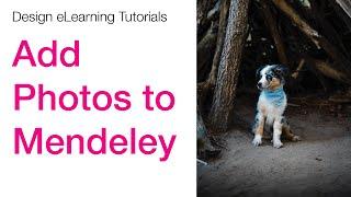 How To Add Online Photos to Mendeley