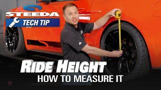 How to Measure Ride Height | Steeda Tech Tip