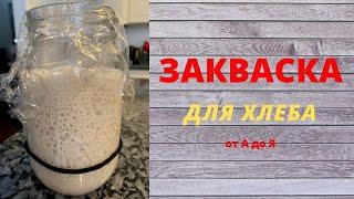 Выведение ржаной закваски - День Второй (Утро)