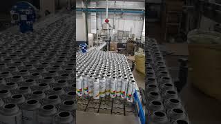 Customized factory price acrylic paint resin aerosol spray paint auto DG aerosol spray