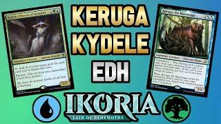 【 EDH Gameplay 】 ️ KERUGA COMPANION + KYDELE ️ Simic Storm