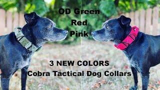 Tactical Cobra Dog Collars in OD Green, Red and Pink