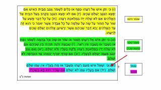 דף יומי מסכת בבא מציעא דף צה Daf yomi Masechet Bava Metzia page 95  ע"י יוני גוטמן