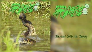 Atractaspididae - Straight Outta the Swamp [Full Album] (Harsh Gorenoise)