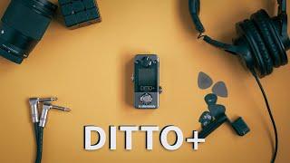 Ditto+ Looper TC Electronic | First Impression & Review