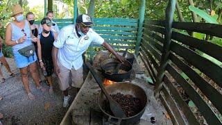 Экскурсия на органические плантации кофе и какао в Доминикане