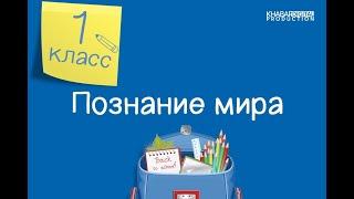 Познание мира. 1 класс. Что такое погода /15.01.2021/