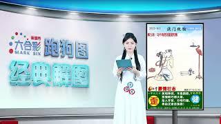 第031期 --【新澳门跑狗图】白小姐解图，助你轻松中奖！