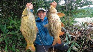 Boilies fishing | 5.4m hand rod catches 2 big carp | 7-31-2024