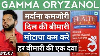 Gamma Oryzanol Ke Fayde In Hindi | Gamma Oryzanol Benefits