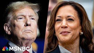 ‘Panic with a dose of racism’: Republicans scramble as Harris energizes voters