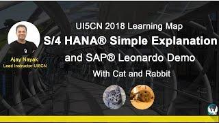 Learn in 49 min SAP® S/4 HANA® and SAP® Leonardo Machine Learning(ML) API's - Live Webinar(2018)