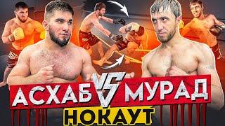 Тамаев vs Мурад. Полный Бой! Отправил в Нокаут