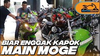 PILIHAN MOGE BEKAS GAMPANG DIPAKAI HARGA HEMAT, PAS BUAT PEMULA l Motorseken