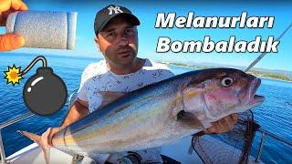 Kuzuların Sessizliği Bombaya Kadarmış…!!!! - Kuzu Akya Avı - Amberjack Fishing - Canlı Yem İle