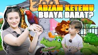 ADZAM KE BALIZOO LIAT SATWA GAK SENGAJA KETEMU BUAYA DARAT???