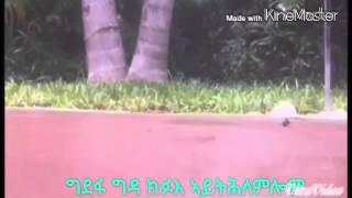 Eritrean music film poem  ምሰልዎ ግዳ yohannes kesete