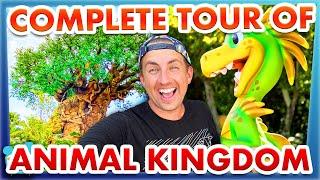 A COMPLETE Tour of Disney's Animal Kingdom -- Full Walkthrough