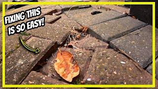 How to Repair/Fix Sunken Block Paving with This SUPER Simple DIY Method!