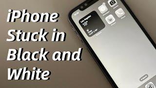 iPhone Stuck in Black and White? Here’s How to Get Out of the Black and White Grayscale Screen