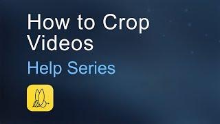 How to Crop Videos with BeeCut