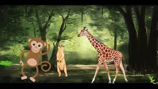 Gerald The Giraffe's Big Stretch | Safari Animals